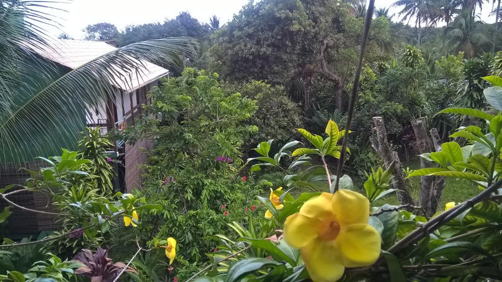Recanto Solar da Paz Velha Boipeba Esterno foto