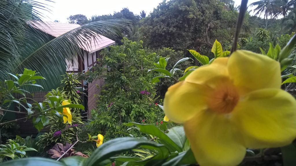 Recanto Solar da Paz Velha Boipeba Esterno foto